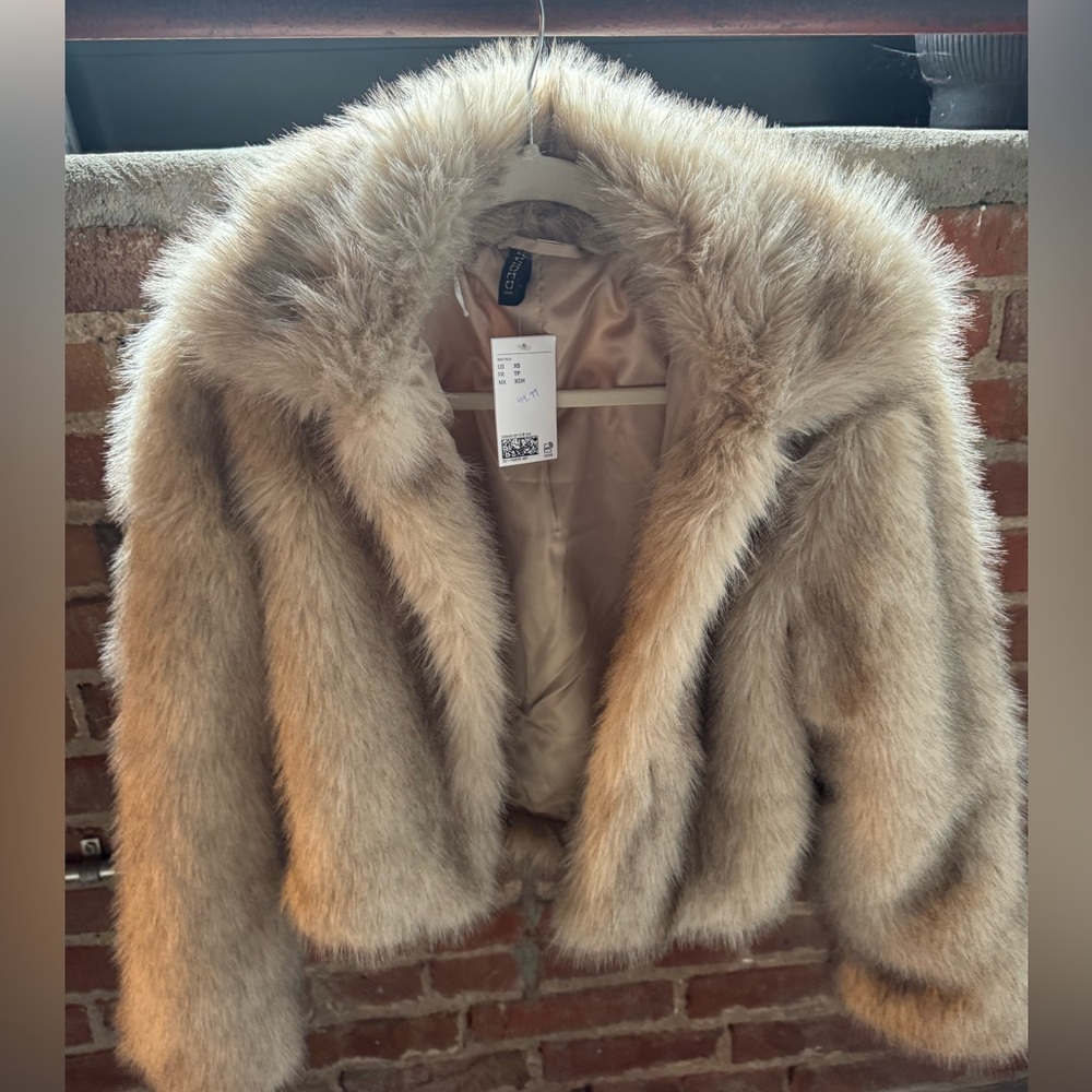 H&M Brown Faux Fur Coat (this season)